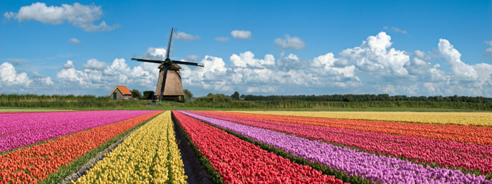 Netherlands - Netherlands